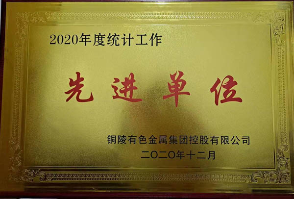 公司获“统计工作先进单元”荣誉称号