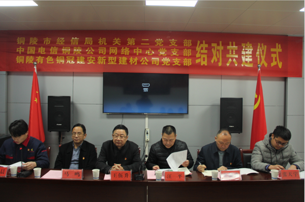9160497eb4078 建材公司发展党支部结对共建活动