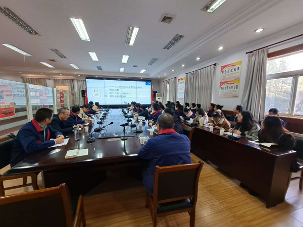 公司发展统计知识培训