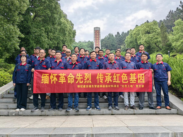 0f1757aa62a4c5 铜基新资料项目党支部发展党日活动