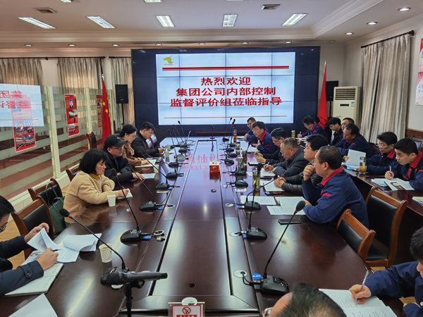 集团公司到公司发展内控自评查抄工作 