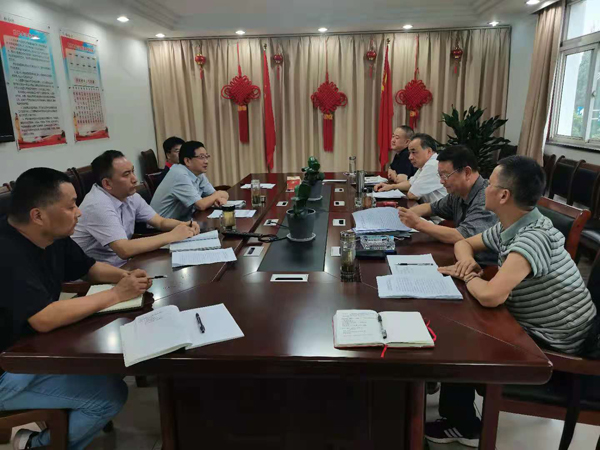 集团公司督查办来公司发展防控督查工作 