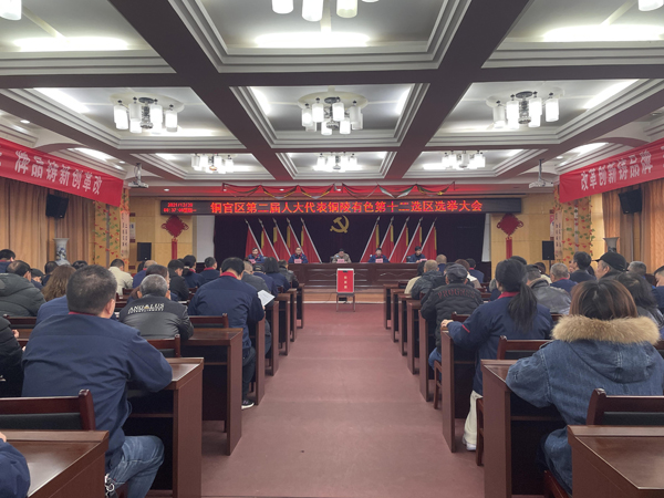 公司实现铜官区第二届人大代表选举工作 公司实现铜官区第二届人大代表选举工作