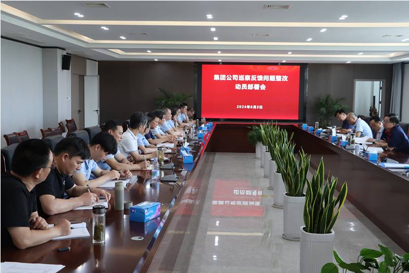 公司召开集团公司巡察反馈问题整扭转员部署会 公司召开集团公司巡察反馈问题整扭转员部署会