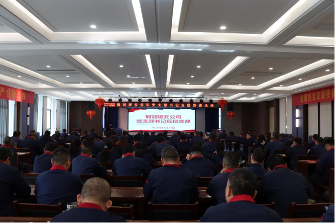 公司发展党支部书记互授党课活动